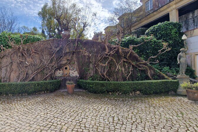 Lisbon Wine Tour: Azeitao, Setubal and Arrabida and Hotel Pickup - Who This Tour Is Best For