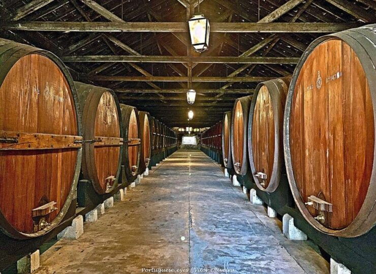 Lisbon: Wine Tour Sesimbra, Arrábida Park & Setúbal - Activity Details