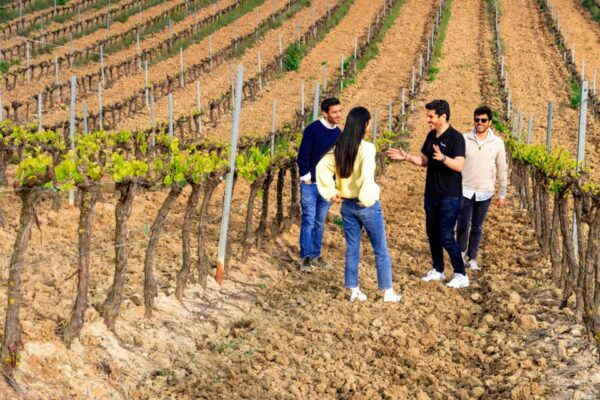 Lisbon: Winery Experience With 4WD Tour and Wine Tasting - Things to Do in Lisbon