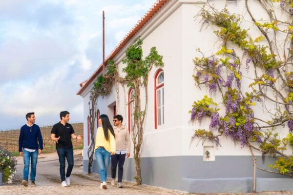 Lisbon: Winery Experience With 4WD Tour and Wine Tasting - The Sum Up