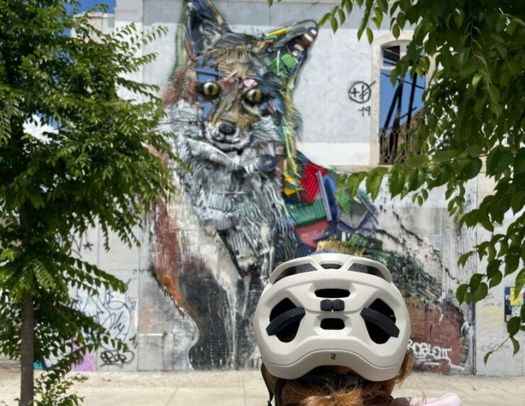 Lisbon's 7 Hills E-Bike Tour: Stunnning Views And Much More - Experience Highlights