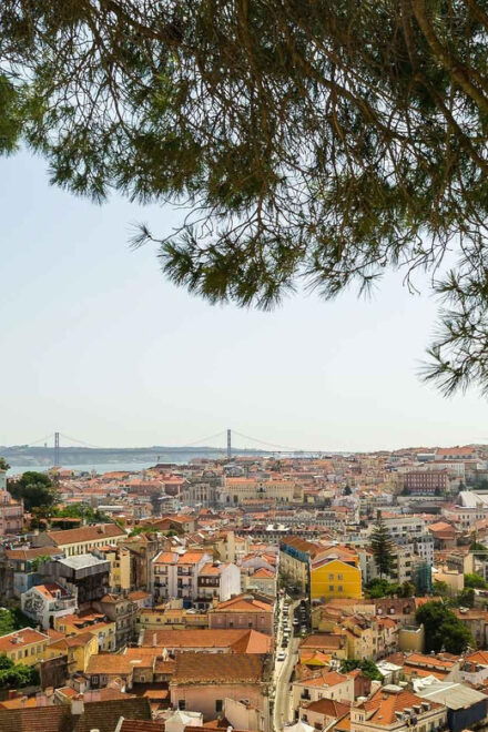 Lisbons Heartbeat: The Seven Hills Journey - Tour Description