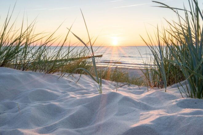 Lisse: Drive-it-Yourself Electric Dune & Beach Audio Tour - Eco-Friendly Transportation