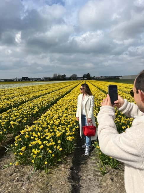 Lisse: Private Tulip Fields Tour with a Local Guide 1h Tour - Price and Value