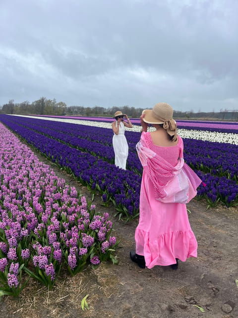 Lisse: Private Tulip Fields Tour With a Local Guide - Itinerary and Highlights