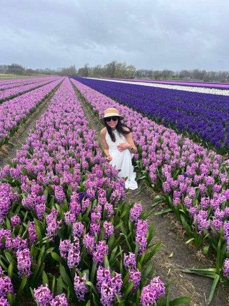 Lisse: Private Tulip Fields Tour With a Local Guide - Restaurant and Lunch Option