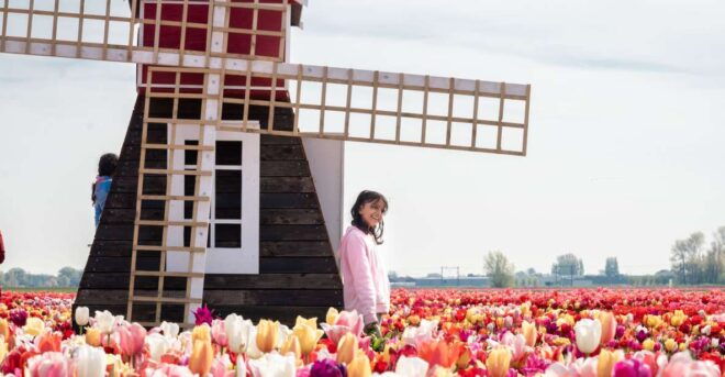 Lisse: Tulip Experience Ticket With Museum and Flower Pick - Museum