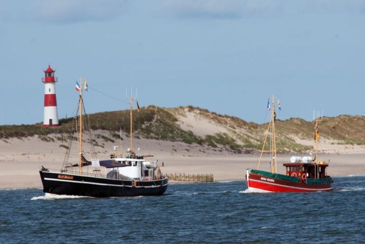 List/Sylt: Guided Seal-Watching Cruise on a Rustic Boat - Activity Details and Booking Information