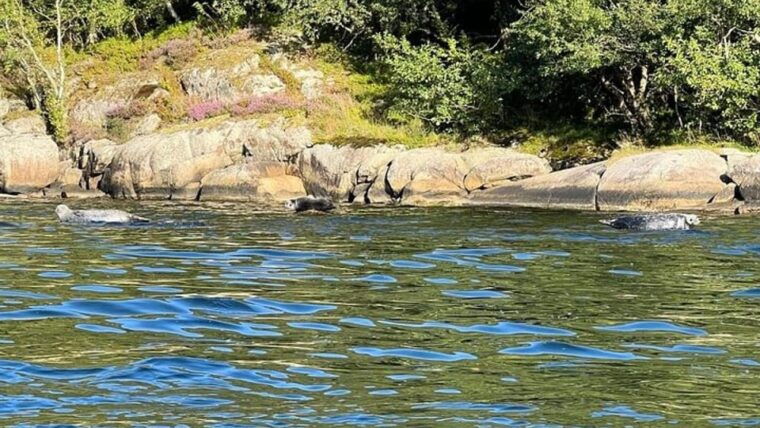 Lister: Inshore Fishing Tour with Local Guide - The Experience: Nature, Culture, and Simple Joy
