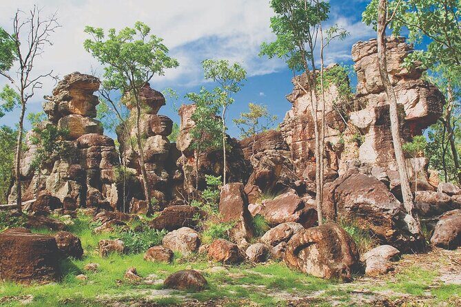 Litchfield Day Tour Classic - Who Will Love This Tour?