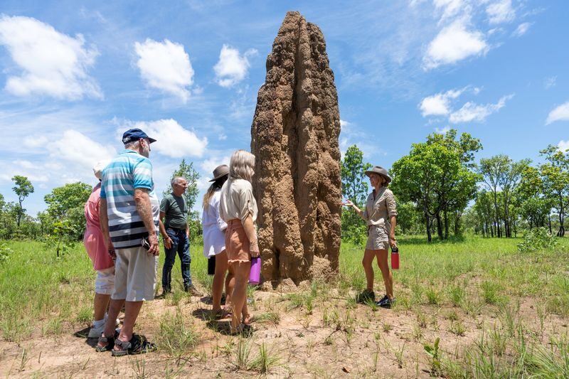 Litchfield National Park Day Tour from Darwin - Florence Falls and the forest walk