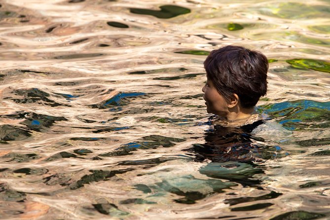 Litchfield National Park Day Tour From Darwin - Additional Information
