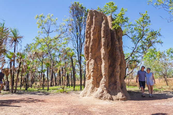 Litchfield National Park Day Tour From Darwin - Viator Help Center and Pricing
