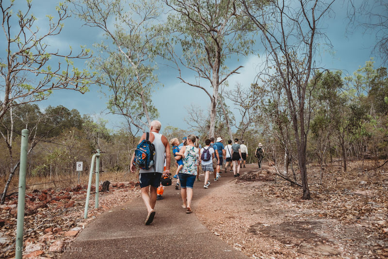 Litchfield National Park Tours - A full day from Darwin, with little driving to manage