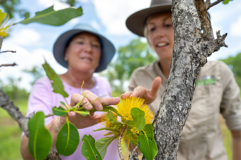 Litchfield National Park Tours - What the price covers, and what it does not