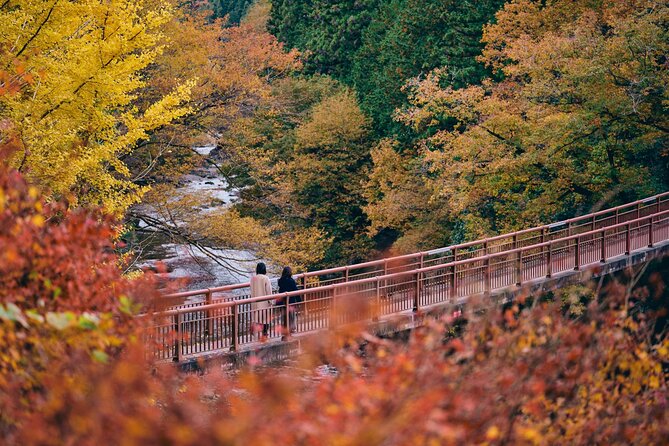 Little Adventure With Cycling in Tokyo No. 1 Crystal Clear River - Overview