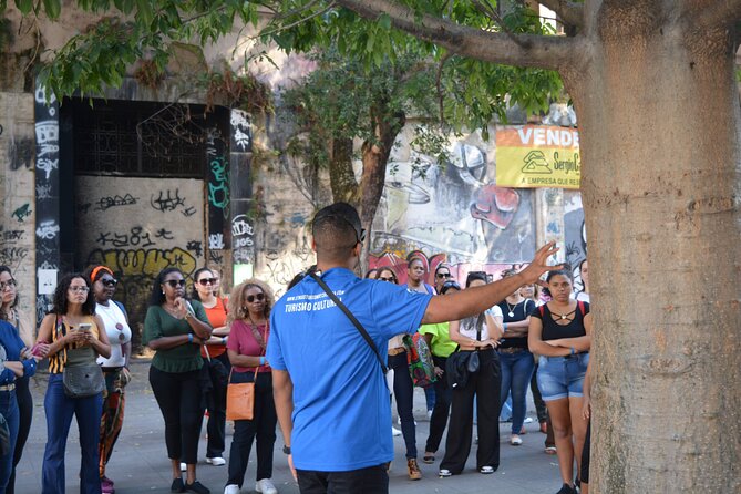 Little Africa Walking Tour in Rio De Janeiro Small-Group Trip - Good To Know