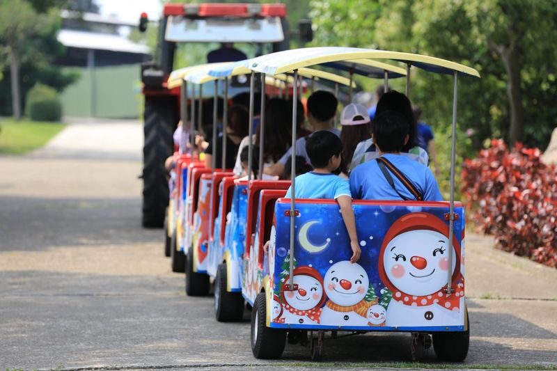 Little Ding Dong Science Theme Park Ticket - Water play, garden paths, and hands-on exhibits