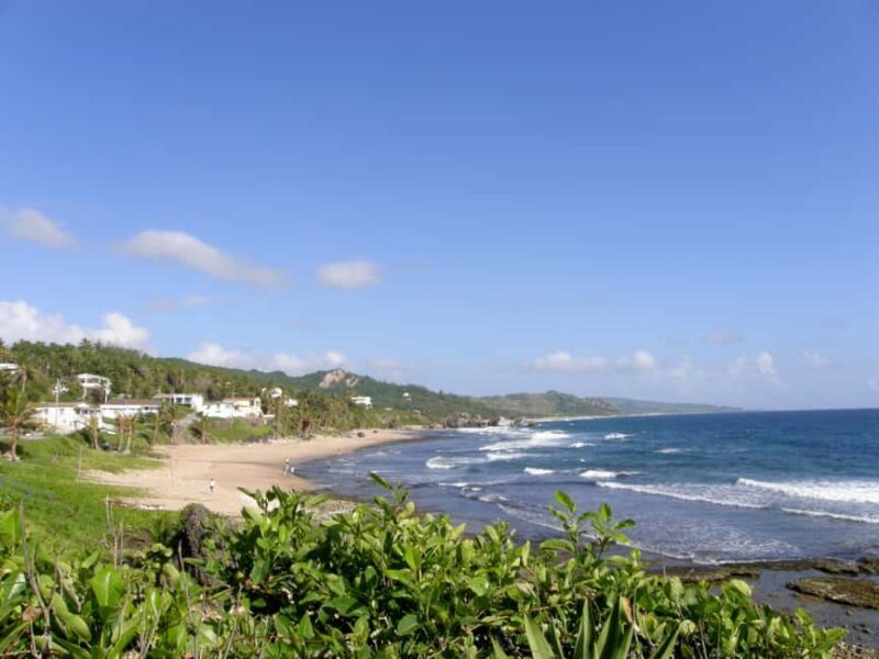 Little England: Half Day Tour in Barbados - The Sum Up