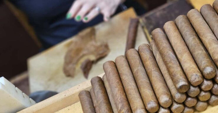 Little Havana: Cigar Tour, An Authentic Cuban Experience - Good To Know