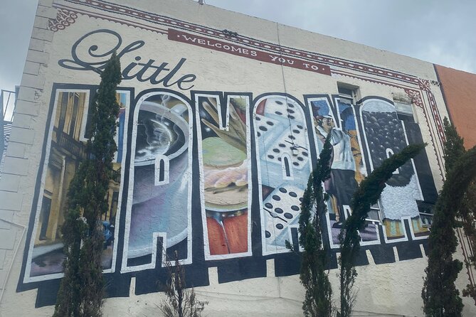 Little Havana Street Art Graffiti Walking Tour - Meeting Point and Check-in