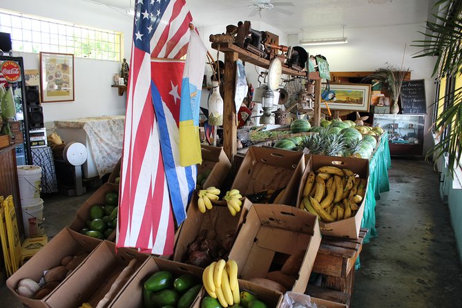 Little Havana Street Food Tours - The Sum Up