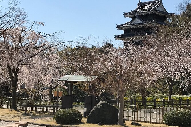 Little Kyoto Nishio Tour/Enjoy Matcha and the First Classic Book Museum in Japan - Unforgettable Experiences in Little Kyoto