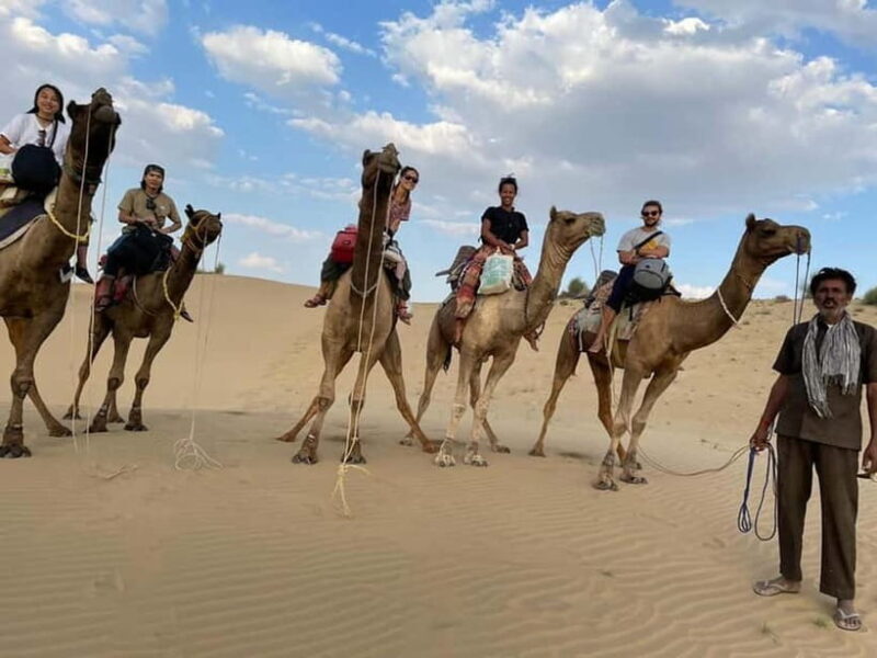 Little Prince Camel Safari with Overnight - FAQ
