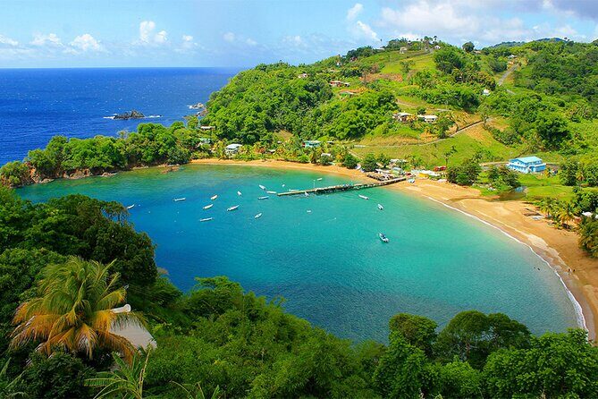Little Tobago Glass Bottom Boat Tour - Introduction