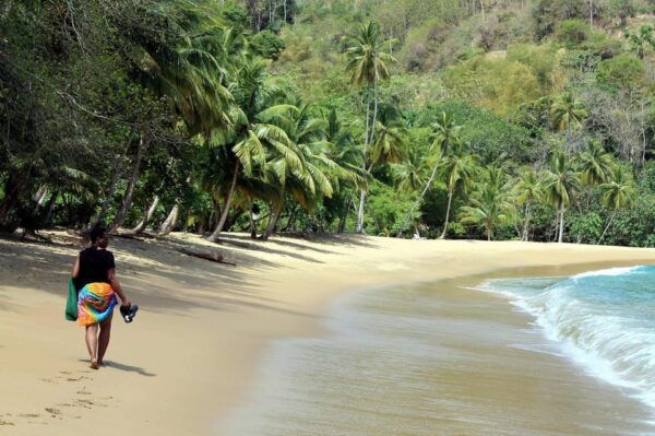 Little Tobago: Glass Bottom Boat Tour - Scenic Drive to Speyside