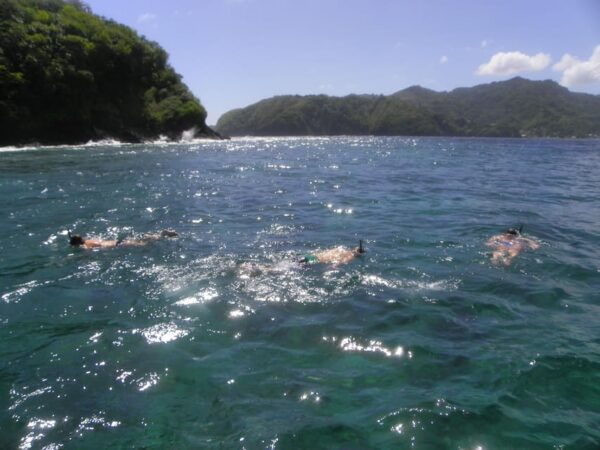 Little Tobago: Glass Bottom Boat Tour - Glass Bottom Boat Ride