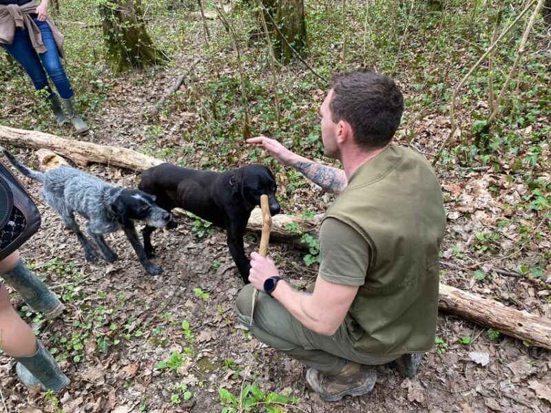 Livade: Guided Truffle Hunting Walking Tour - Who Would Love This Tour?