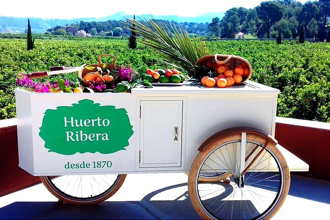 Live an Experience Among Orange Trees in Huerto Ribera - Transportation and Directions