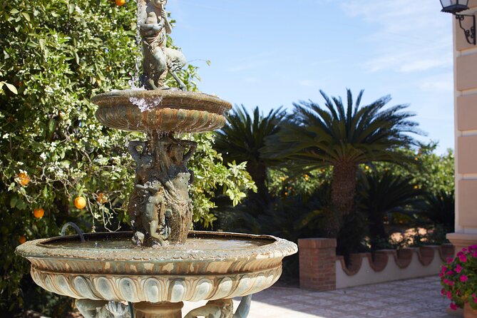 Live an Experience Among Orange Trees in Huerto Ribera - Experience Details