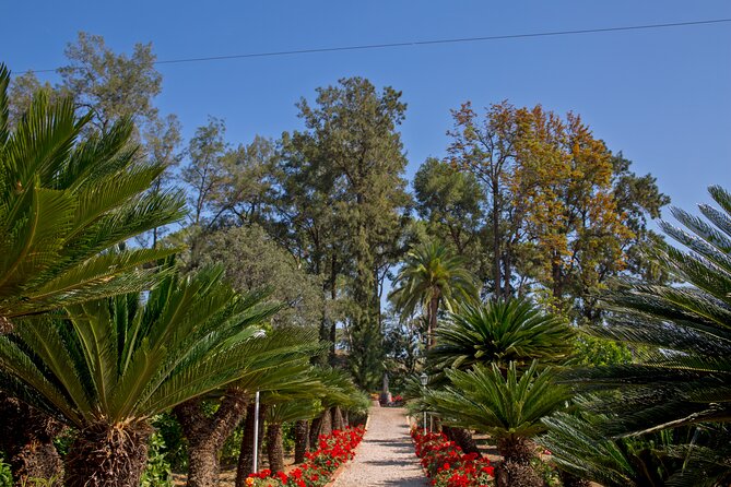 Live an Experience Among Orange Trees in Huerto Ribera - Additional Information