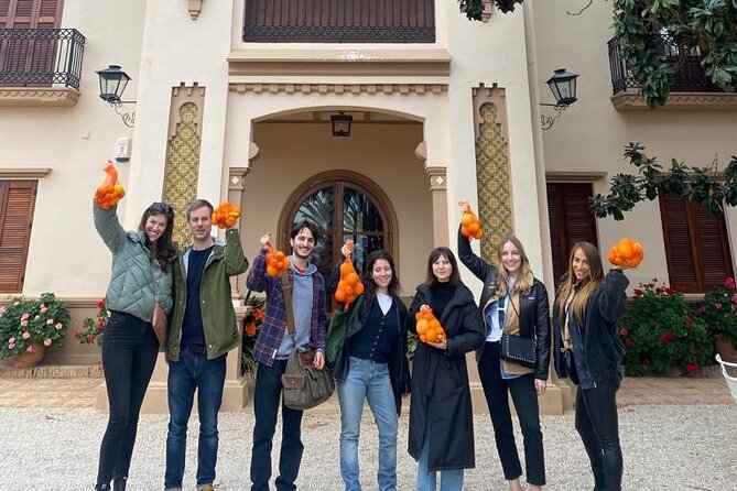Live an Experience Among Orange Trees in Huerto Ribera - Traveler Experiences