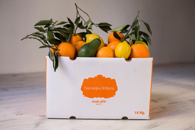 Live an Experience Among Orange Trees in Huerto Ribera - The Sum Up and Recommendations