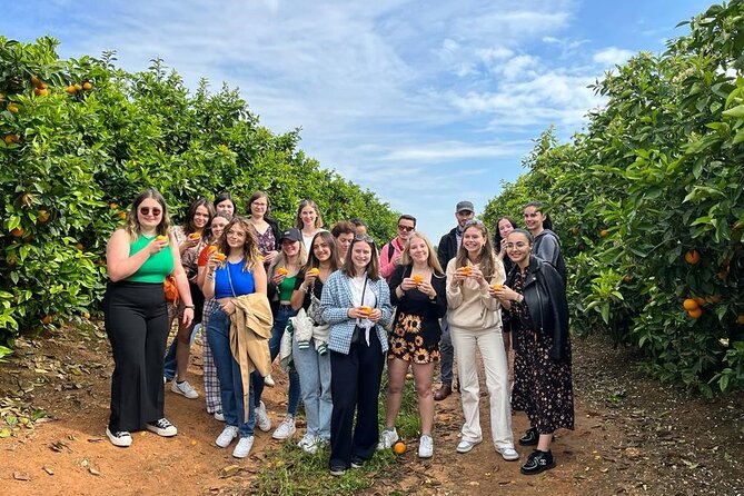 Live an Experience Among Orange Trees in Huerto Ribera - Directions to Huerto Ribera
