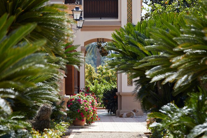 Live an Experience Among Orange Trees in Huerto Ribera - Common Questions