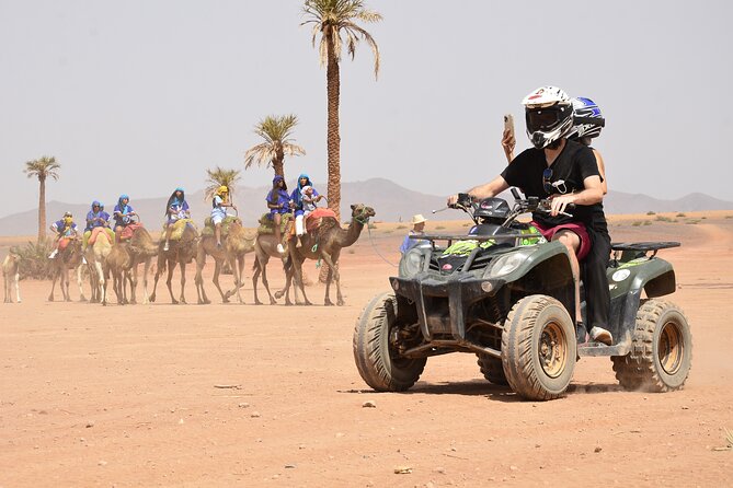 Live an Unforgettable Adventure, Quad Ride in the Palm Grove - Top-Quality Equipment Provided