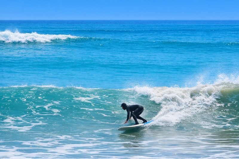 "Live Like a Busan Local" Surfing + K-food BBQ Package - Who should book this experience?