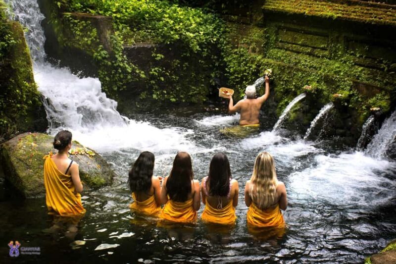 Live Like a Local: Ubud Market, Cooking & Water Temple Tour - Practical Details and Value