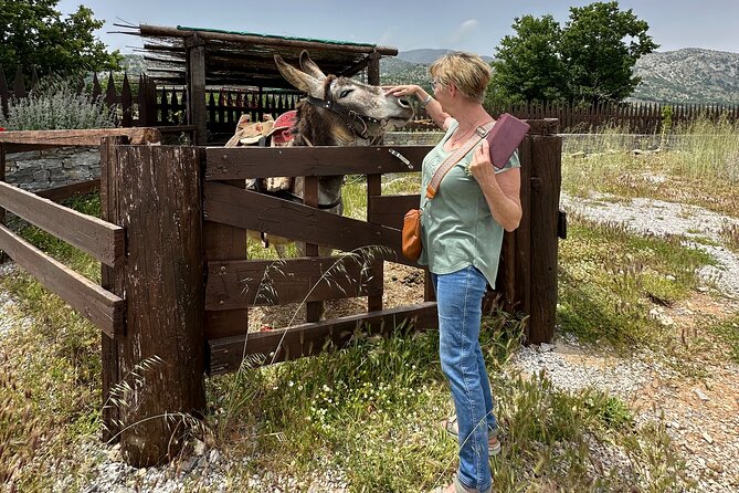 Live Like a Shepherd for One Day, the Mitato Experience - The Mitato Experience: A Unique Shepherds Journey