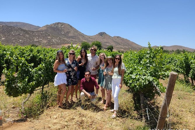 Live the Wine Route in Valle De Guadalupe, the "Capital of Mexican Wine" - Wine Route Overview