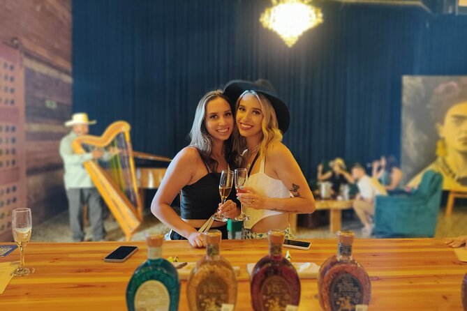 Live the Wine Route in Valle De Guadalupe, the "Capital of Mexican Wine" - Viator Help Center