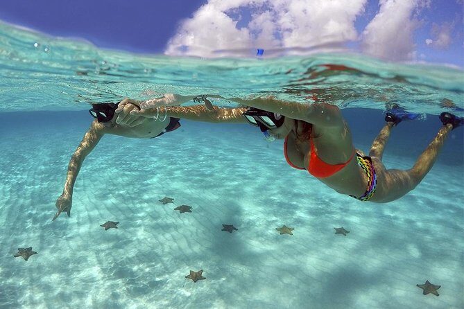 Live this unique snorkeling experience. El Cielo in Cozumel a magical tour. - The Itinerary: What to Expect on This Snorkeling Adventure