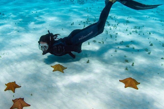 Live this unique snorkeling experience. El Cielo in Cozumel a magical tour. - Frequently Asked Questions