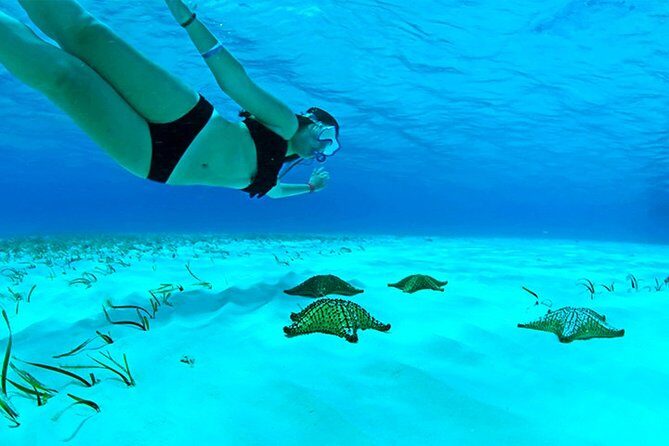 Live this unique snorkeling experience. El Cielo in Cozumel a magical tour. - Final Words