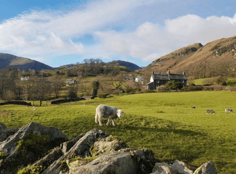 Liverpool: Lake District Tour with Lake Cruise & Train Ride - Detailed Breakdown of the Itinerary