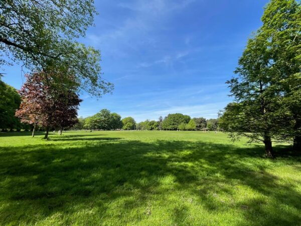 Liverpool: Ultimate Private 5 Hour Suburbs Walking Tour - Terrain and Amenities